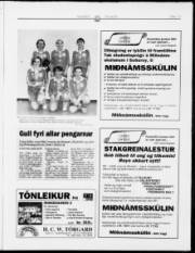 Síða 13