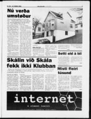 Síða 3