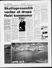 Síða 5