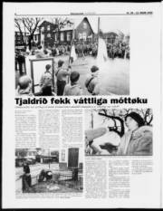 Síða 6