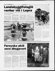 Síða 11