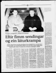 Síða 12