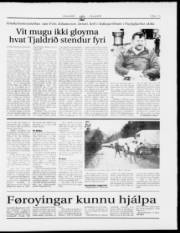 Síða 15