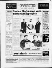 Síða 24