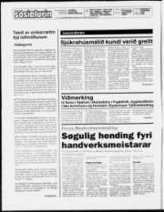 Síða 2