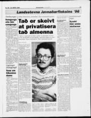 Síða 17