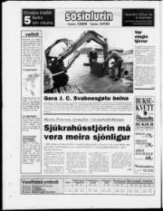 Síða 28