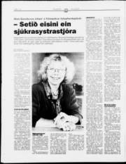 Síða 15