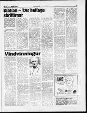 Síða 19