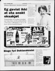 Síða 3