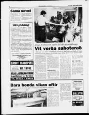 Síða 8