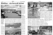 Síða 11