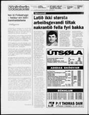 Síða 2