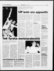 Síða 17