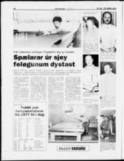 Síða 20