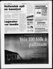 Síða 3