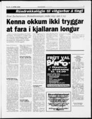 Síða 7