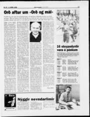 Síða 17