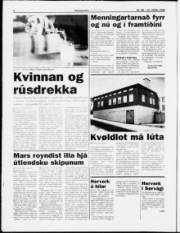 Síða 4