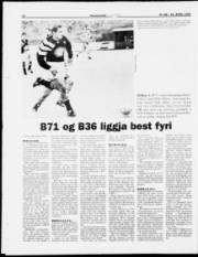 Síða 15