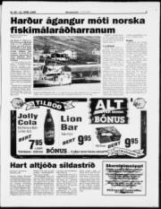 Síða 3