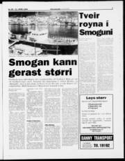 Síða 7