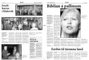 Síða 3