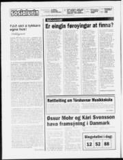 Síða 2