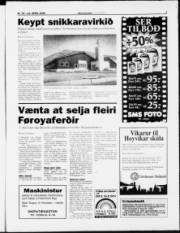 Síða 3