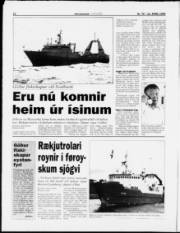 Síða 12