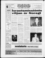 Síða 27
