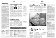 Síða 6