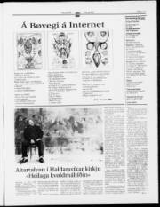 Síða 11