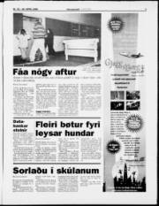 Síða 3