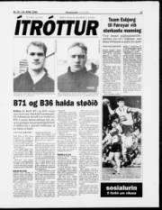 Síða 15