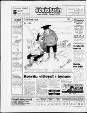 Síða 28
