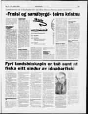 Síða 17