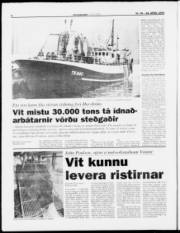 Síða 8