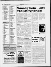 Síða 15