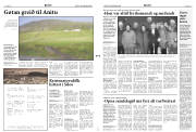 Síða 3