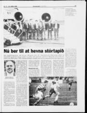 Síða 17