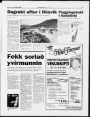 Síða 5