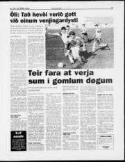 Síða 13