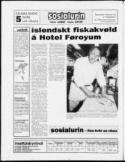 Síða 24