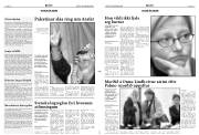 Síða 11
