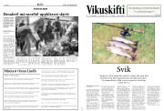 Síða 12