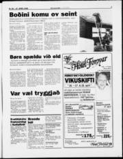 Síða 3