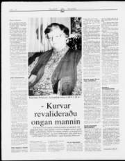 Síða 14