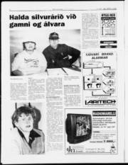 Síða 8