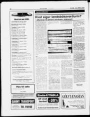 Síða 19